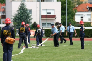 33mmk_82